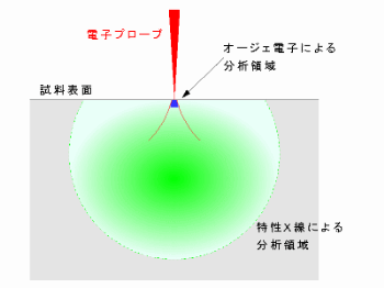 分析領域