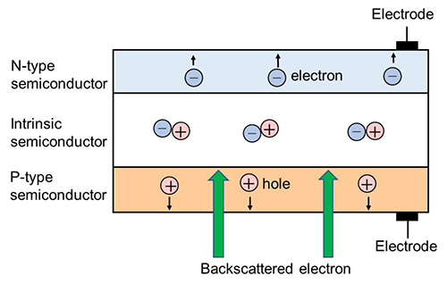 Action of a PIN-type photodiode for incoming backscattered electrons.