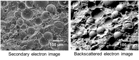 backscattered electron image
