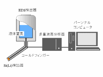EDS