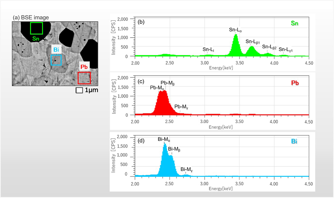 Fig. 3 Backscattered electron image of a SnPbBi alloy and its X-ray spectra.