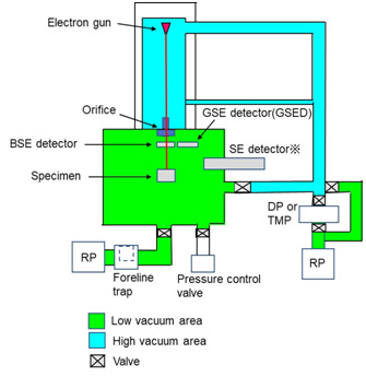 Schematic of the vacuum evacuation system of an LVSEM.