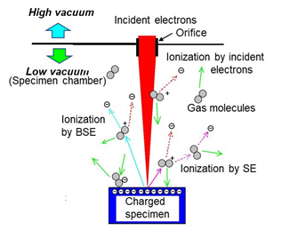Feature of charge neutralization.