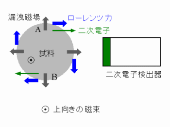 磁区コントラスト1
