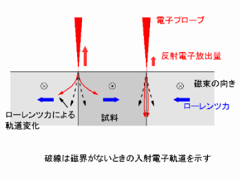 磁壁コントラスト2