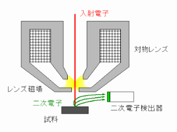 アウトレンズ検出器