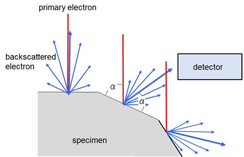 Dependence of backscattered electron emission on the angles of the specimen surface against the incident electron probe.