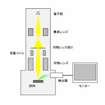 走査電子顕微鏡