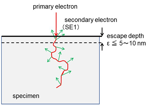 SE1