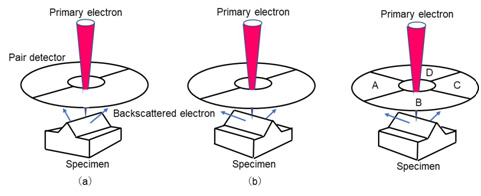 Relations between the directions of placement of pair detectors and the inclination of a specimen