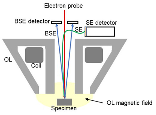 TTL detector