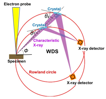 Principle of WDS